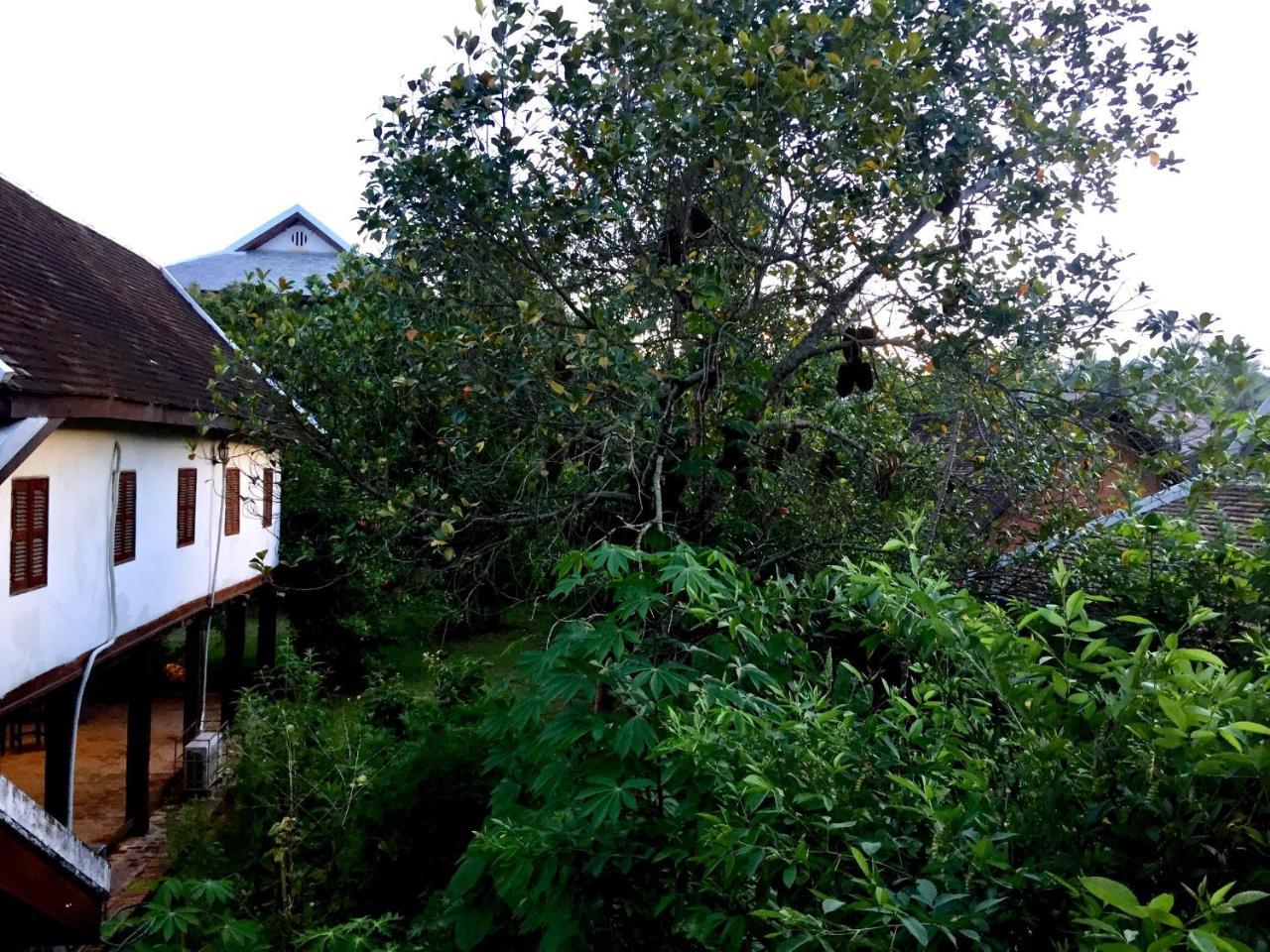 Soutikone1 Guesthouse Luang Prabang Exteriér fotografie